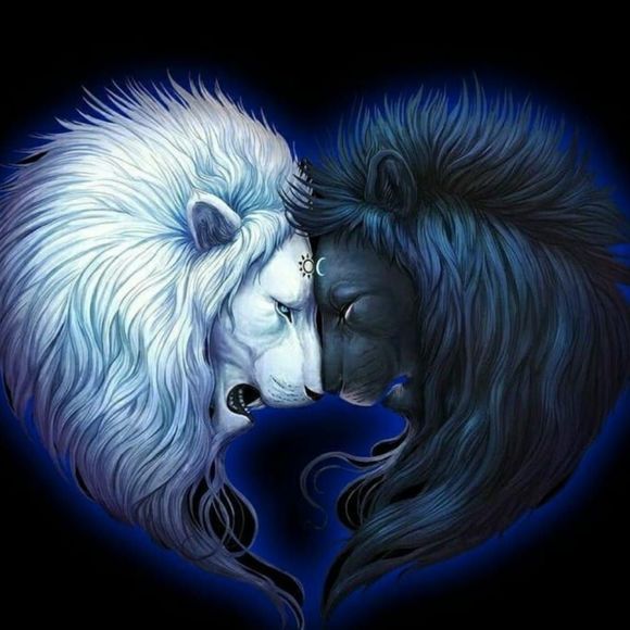 Meet your Posher, Daniel - Picture 1 of 1